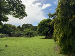 TERRENO / CHAME / LAS LAJAS / 1286 M2 / CERCA DE LA PLAYA