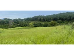 CHAME / SORA / 13.9 HECTAREAS / FINCA / VIA ASFALTADA / CLIMAS FRESCOS