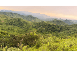 FINCA / CHAME / SORÁ / 21 HECTÁREAS / HERMOSA VISTA AL MAR / AMPLIO