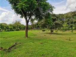 SE VENDE FINCA EN BEJUCO CHAME 10 HECTAREAS CERCA A LA INTERAMERICANA