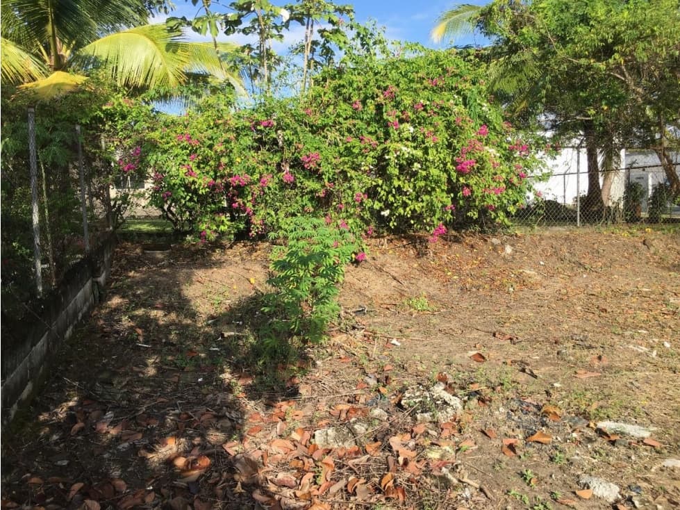 TERRENO / CORONADO / 800 M2 / AREA RESIDENCIAL / LOTE PLANO — foto 6