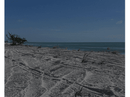 PLAYA MALIBU / GORGONA / TERRENO FRENTE AL MAR / 1002M