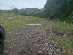 SE VENDE TERRENO 3 HECTAREAS EN EL ESPAVE RODEADO DE NATURALEZA