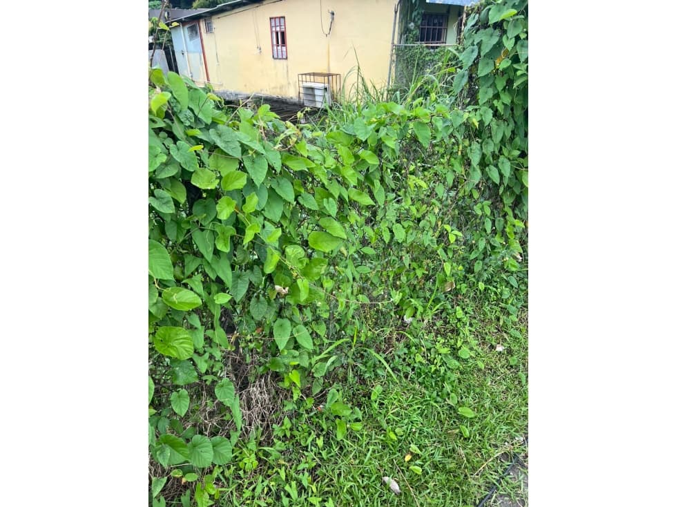 Venta de terreno en Transístmica. VC — foto 3