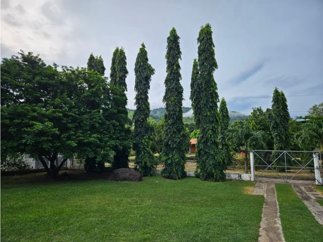 FINCA EN VENTA CON TRES CASAS Y CASA CLUB EN EL ESPAVE