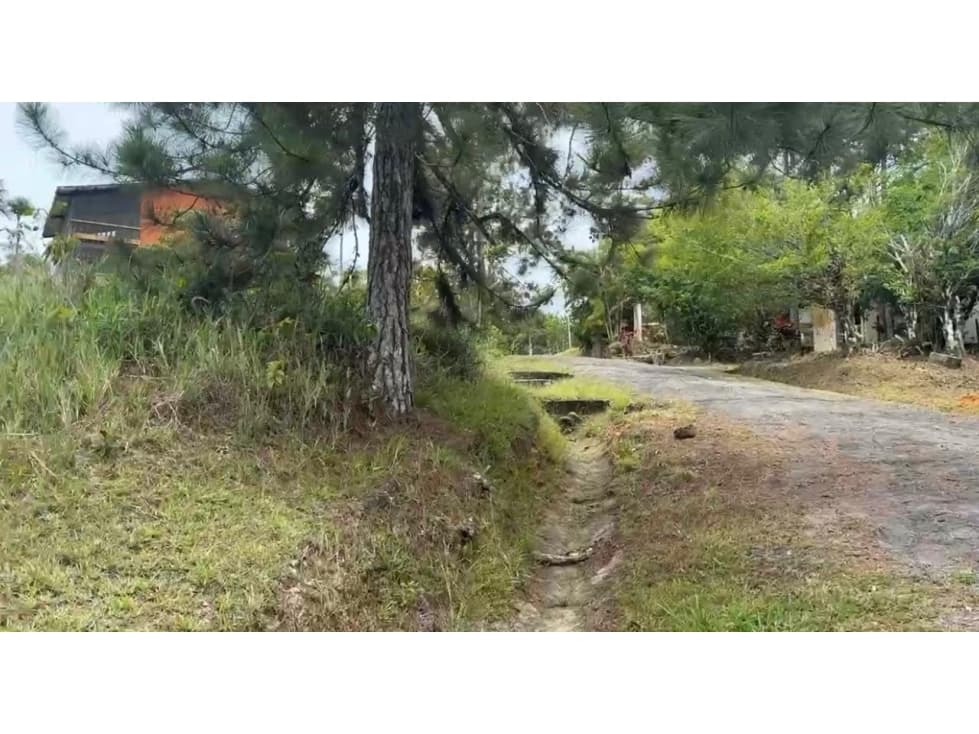 TERRENO EN VENTA CERRO AZUL LH — foto 2