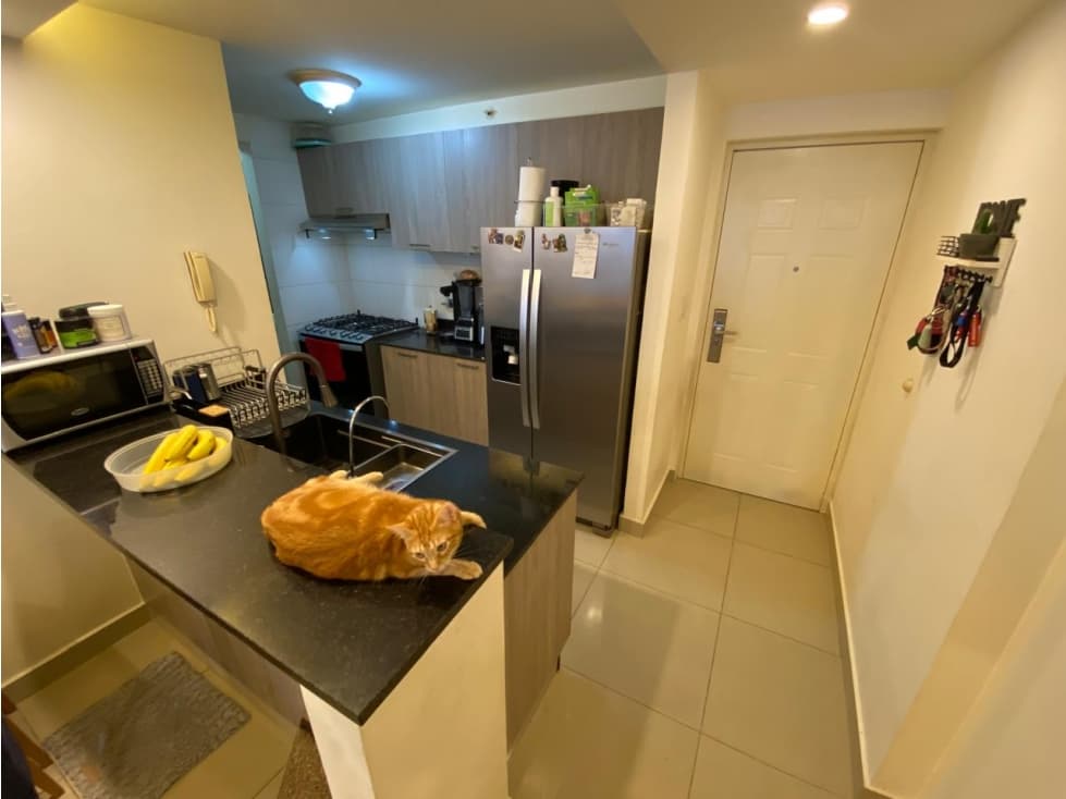 En venta en carrasquilla - ph coral tower - K.T — foto 4