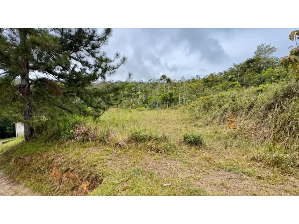 TERRENO EN VENTA CERRO AZUL LH — foto 4