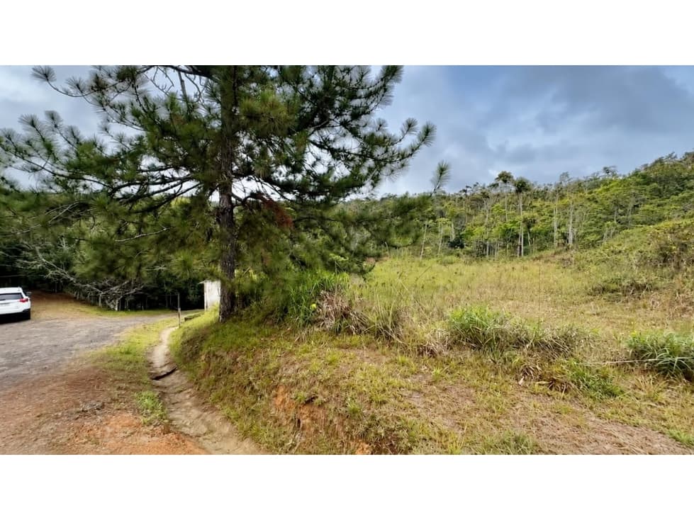 TERRENO EN VENTA CERRO AZUL LH — foto 5