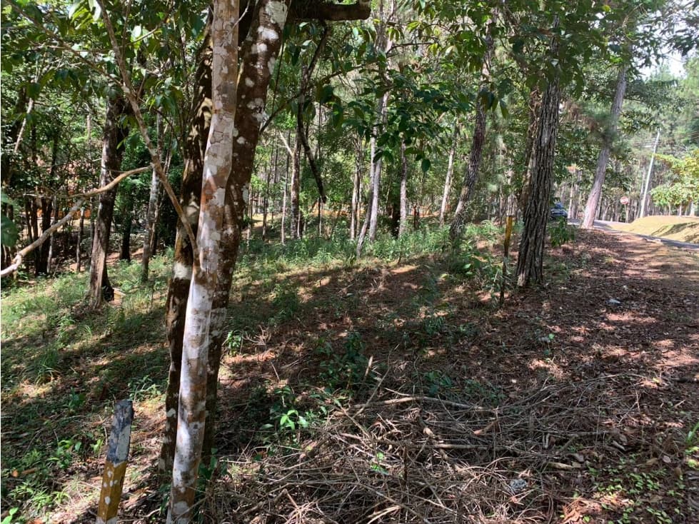 VENTA TERRENO CERRO AZUL — foto 1