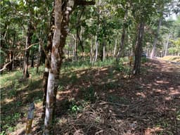 VENTA TERRENO CERRO AZUL