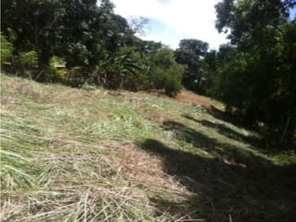 VENTA TERRENO CHILIBRE — foto 1