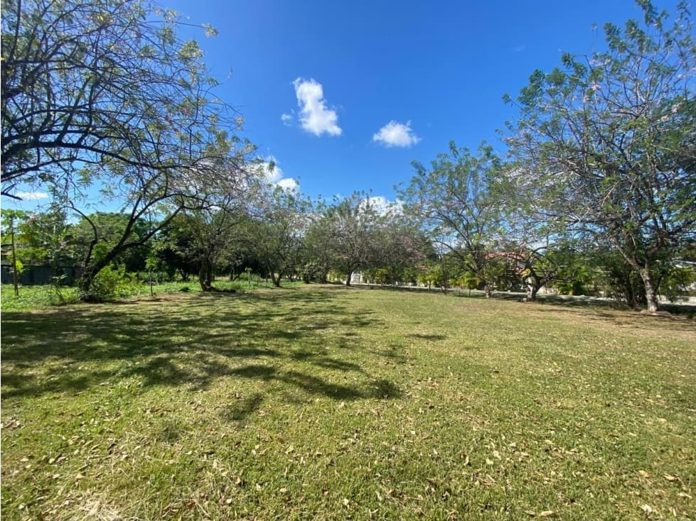 VENTA TERRENO NUEVA GORGONA — foto 1