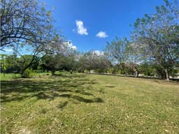 VENTA TERRENO NUEVA GORGONA