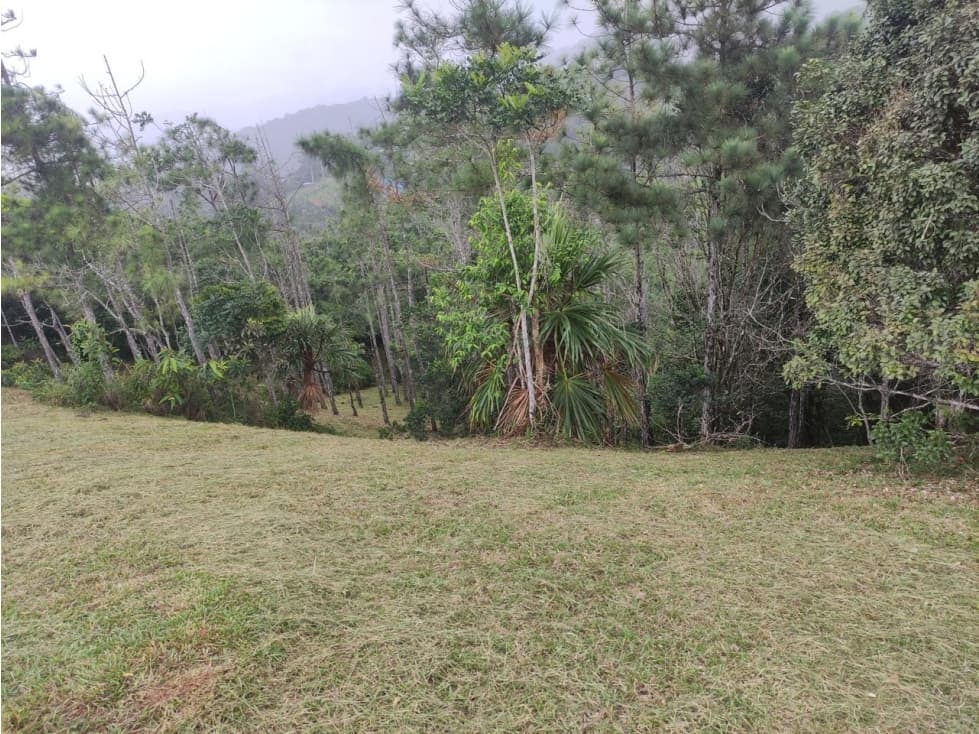 VENTA TERRENO CERRO AZUL — foto 2