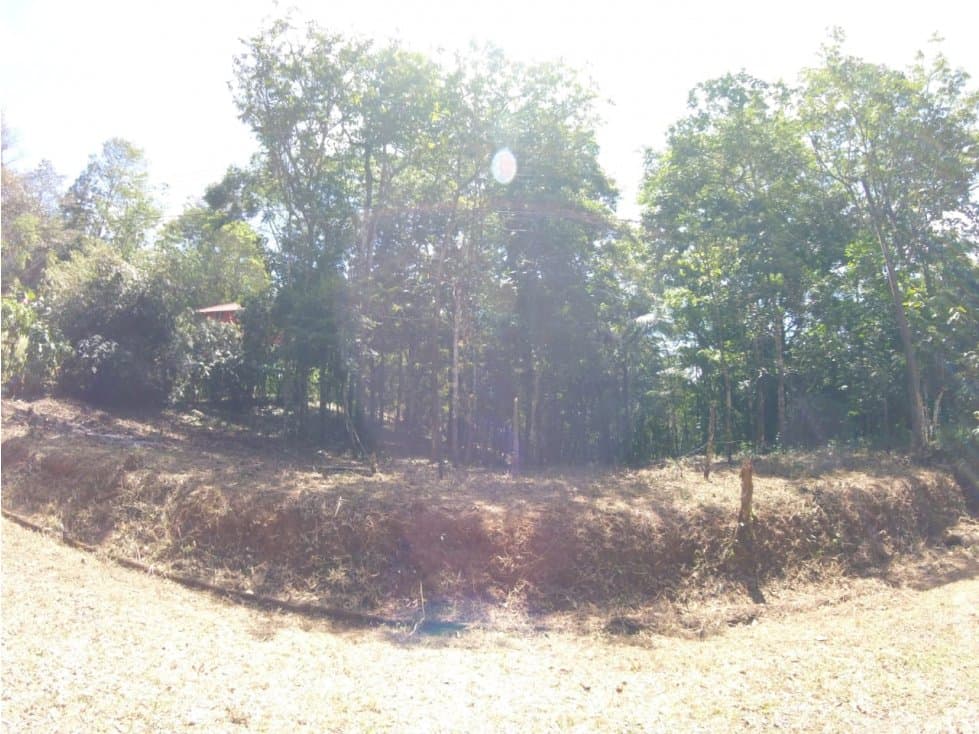 VENTA TERRENO CERRO AZUL — foto 4