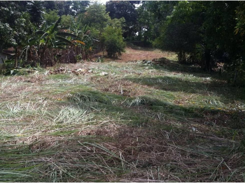 VENTA TERRENO CHILIBRE — foto 2