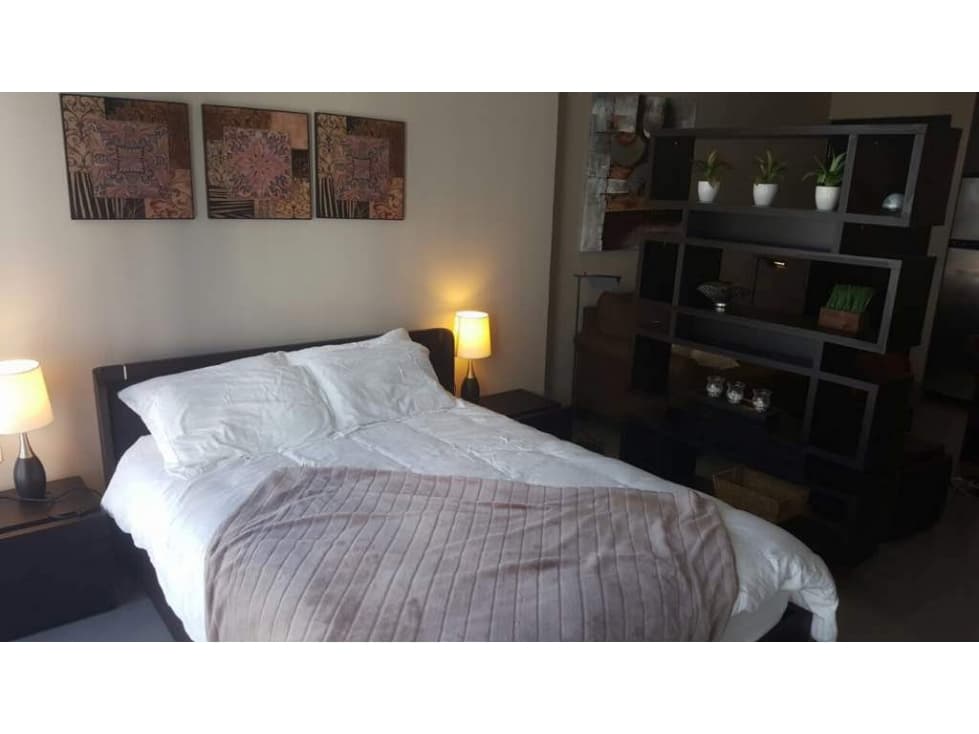 ALQUILER APARTAMENTO TIPO ESTUDIO AMOBLADO BELLA VISTA — foto 4