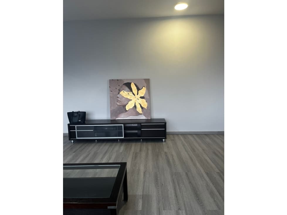 ALQUILER APARTAMENTO AMOBLADO AVENIDA BALBOA — foto 4