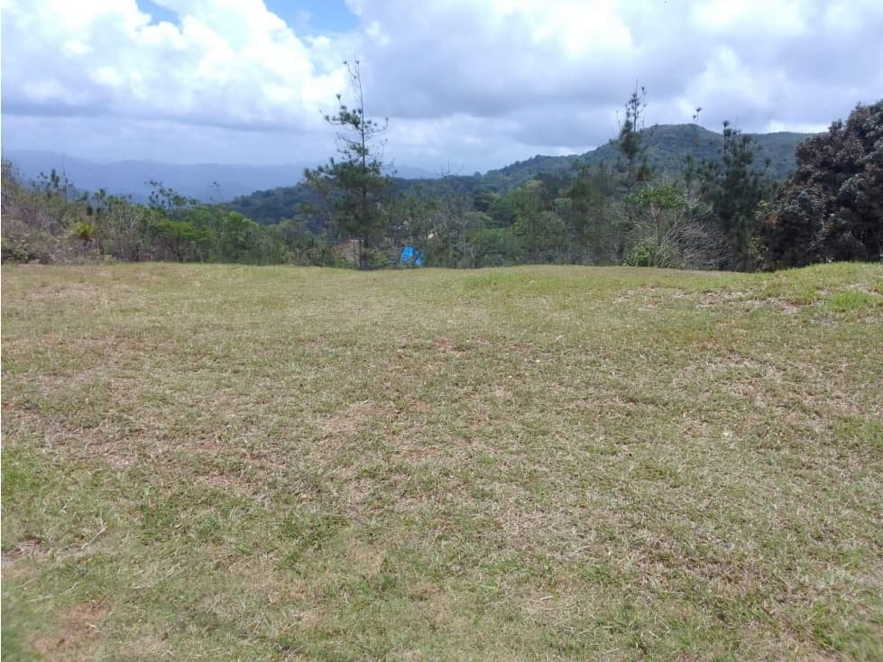 VENTA TERRENO CERRO AZUL — foto 1