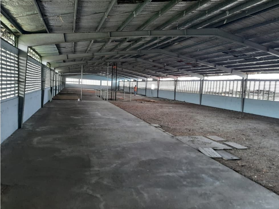 VENTA GALERA RIO ABAJO — foto 2