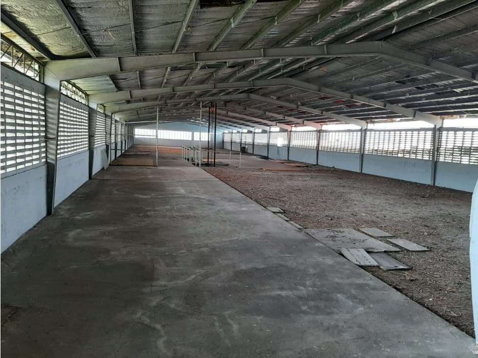 VENTA GALERA RIO ABAJO — foto 1