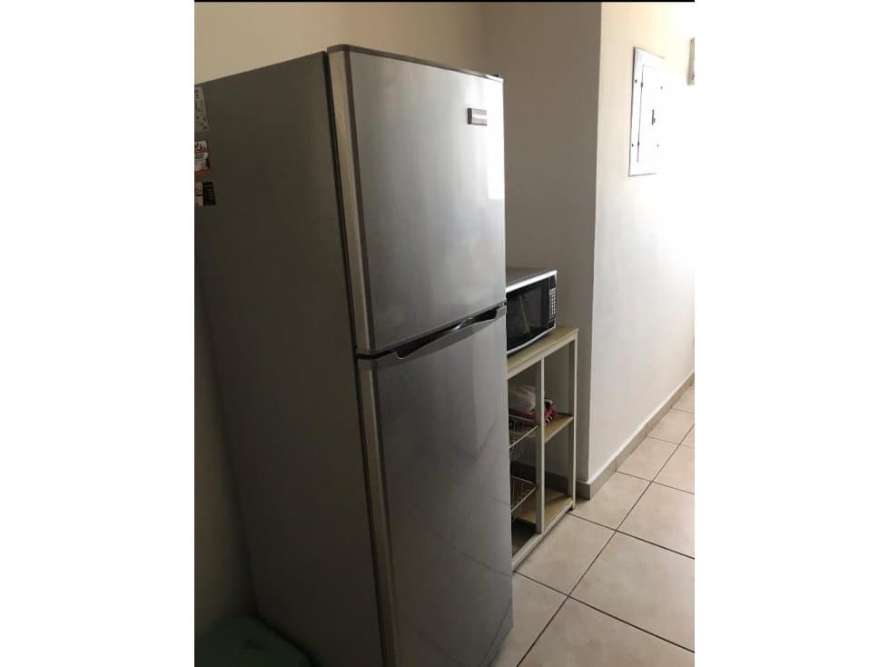 ALQUILER APARTAMENTO AMOBLADO SAN FRANCISCO — foto 4
