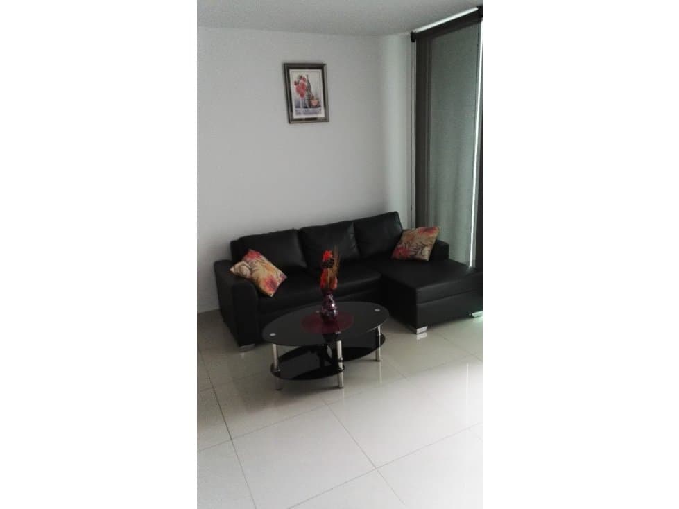 ALQUILER APARTAMENTO AMOBLADO AVENIDA BALBOA — foto 3