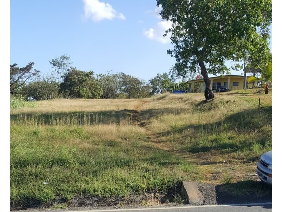 VENTA TERRENO DOS RIOS — foto 3