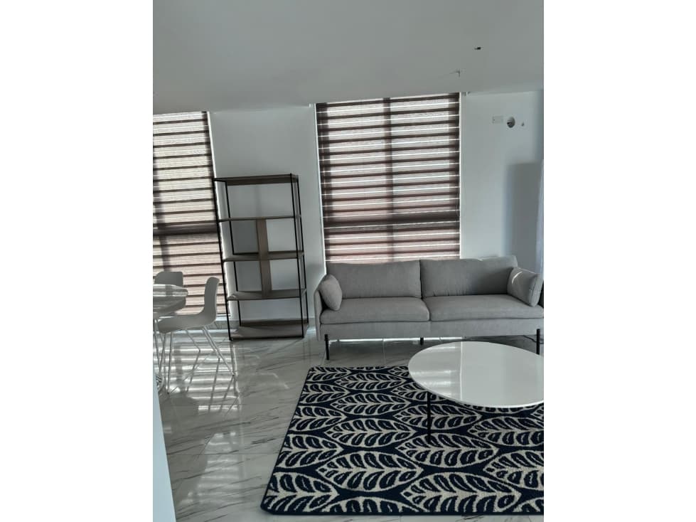 ALQUILER APARTAMENTO AMOBLADO AVENIDA BALBOA — foto 4