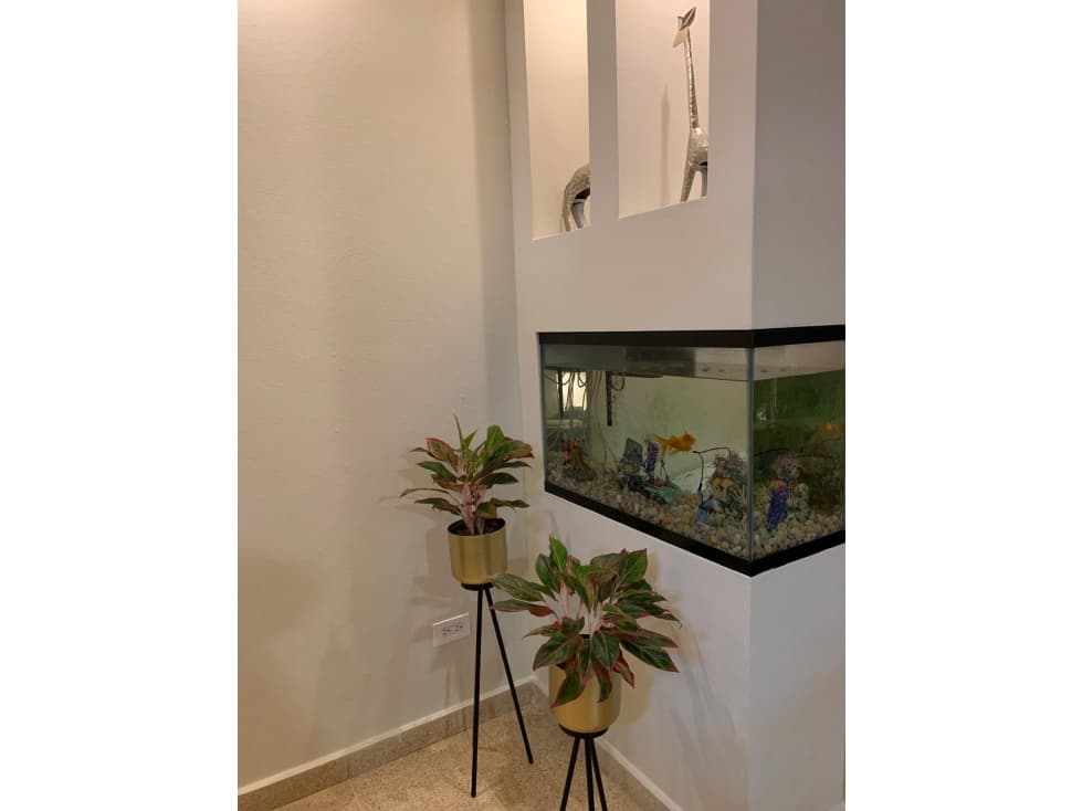 ALQUILER APARTAMENTO SAN FRANCISCO AMOBLADO — foto 4