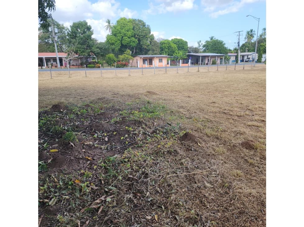 VENTA TERRENO HERRERA SANTA MARIA — foto 4