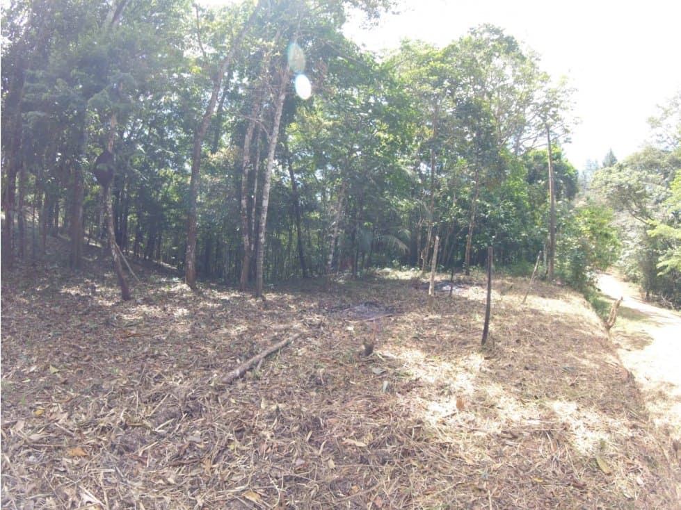 VENTA TERRENO CERRO AZUL — foto 5