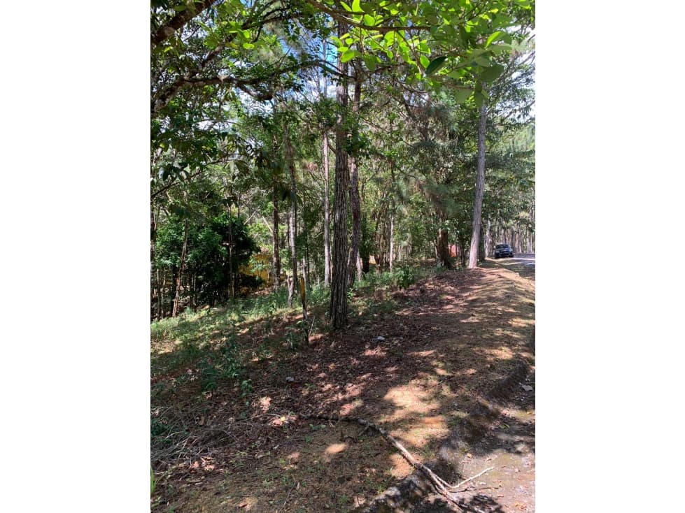 VENTA TERRENO CERRO AZUL — foto 2