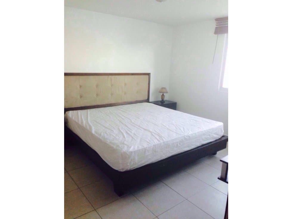 ALQUILER APARTAMENTO AMOBLADO SAN FRANCISCO — foto 6