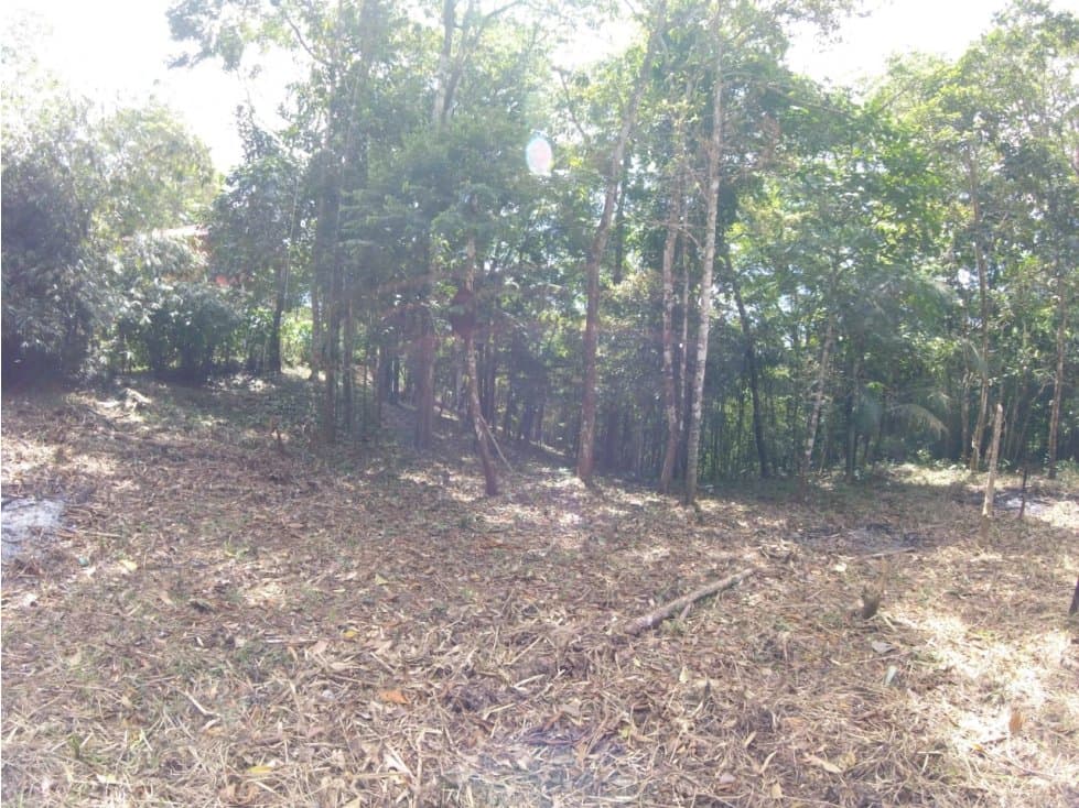 VENTA TERRENO CERRO AZUL — foto 6