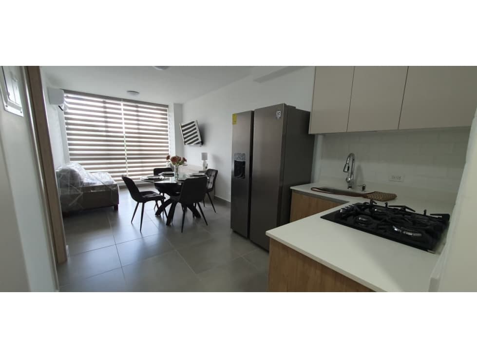 ALQUILER APARTAMENTO AMOBLADO ALBROOK — foto 3