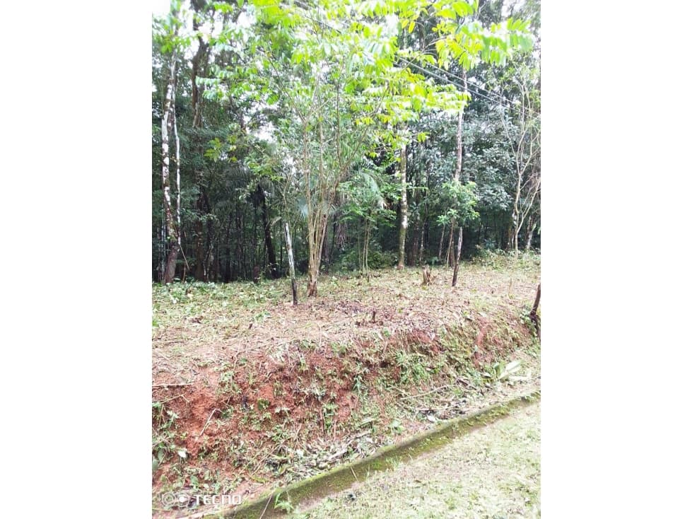 VENTA TERRENO CERRO AZUL — foto 2