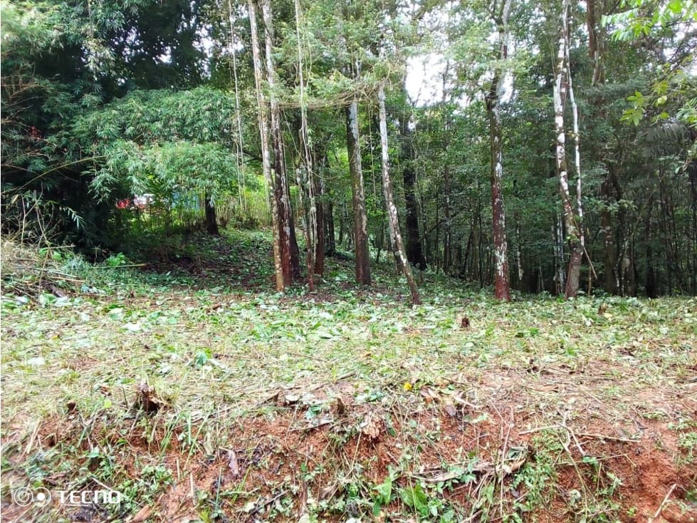 VENTA TERRENO CERRO AZUL — foto 1