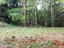 VENTA TERRENO CERRO AZUL