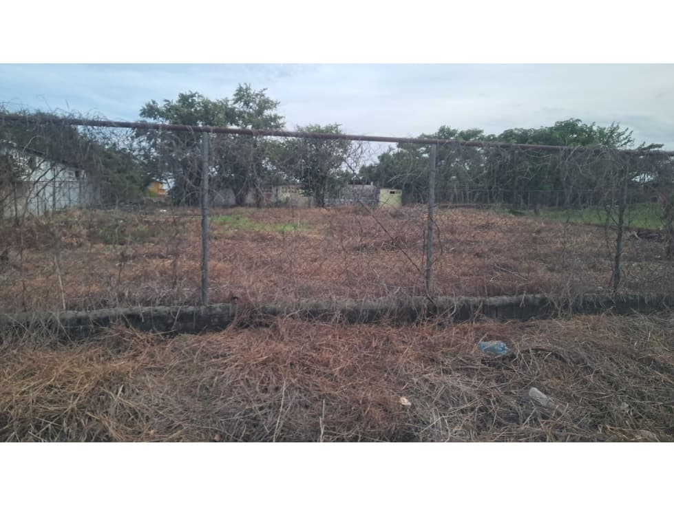 VENTA TERRENO GORGONA — foto 1