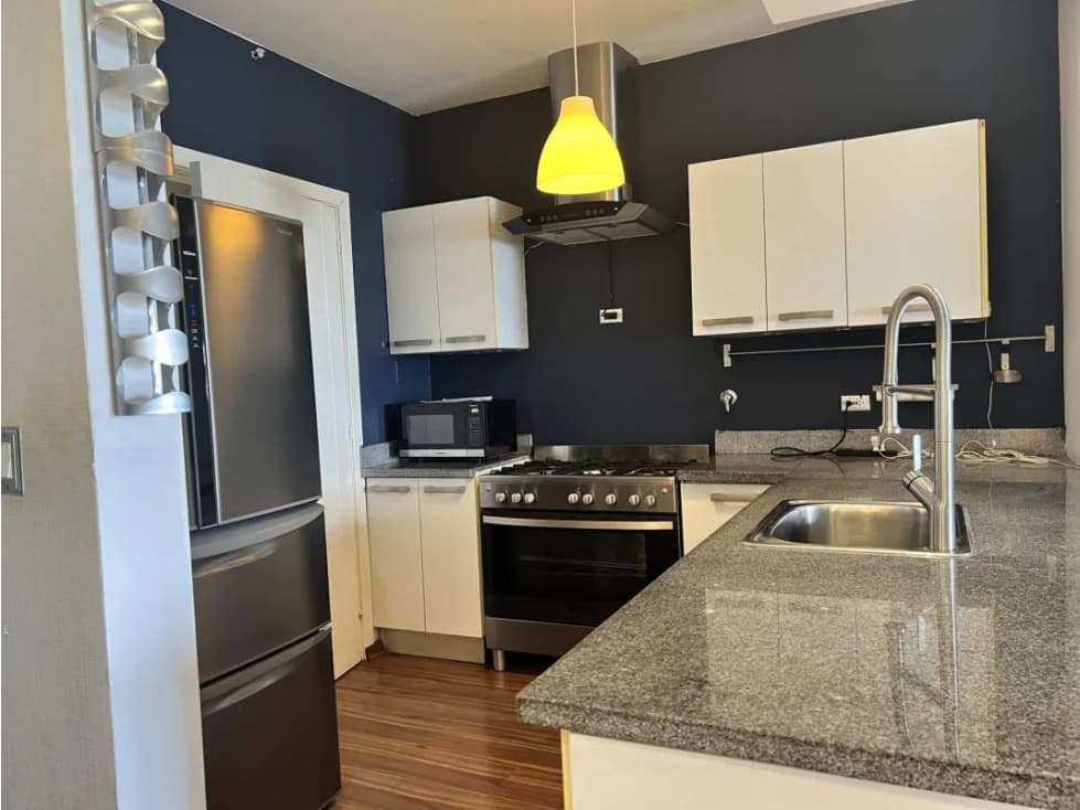 ALQUILER APARTAMENTO AMOBLADO AVENIDA BALBOA — foto 5