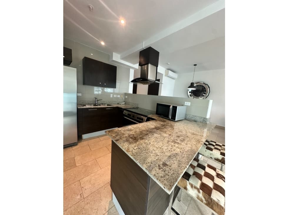 ALQUILER APARTAMENTO AMOBLADO PUNTA PACIFICA — foto 3