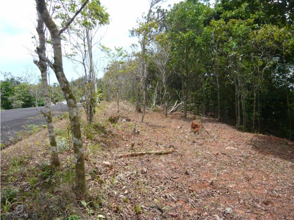 VENTA TERRENO CERRO AZUL — foto 3