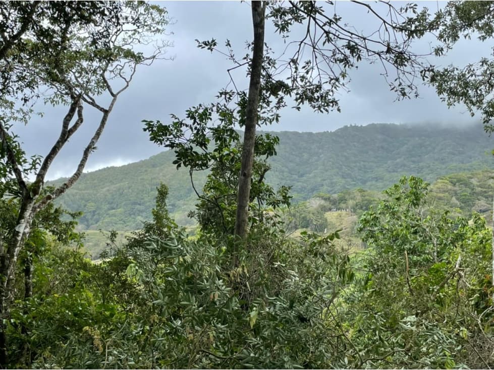 VENTA TERRENO ALTOS DE MARIA — foto 2