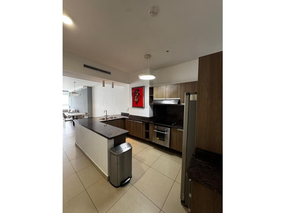 ALQUILER APARTAMENTO AMOBLADO AVENIDA BALBOA — foto 5