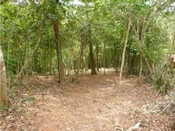 VENTA TERRENO CERRO AZUL