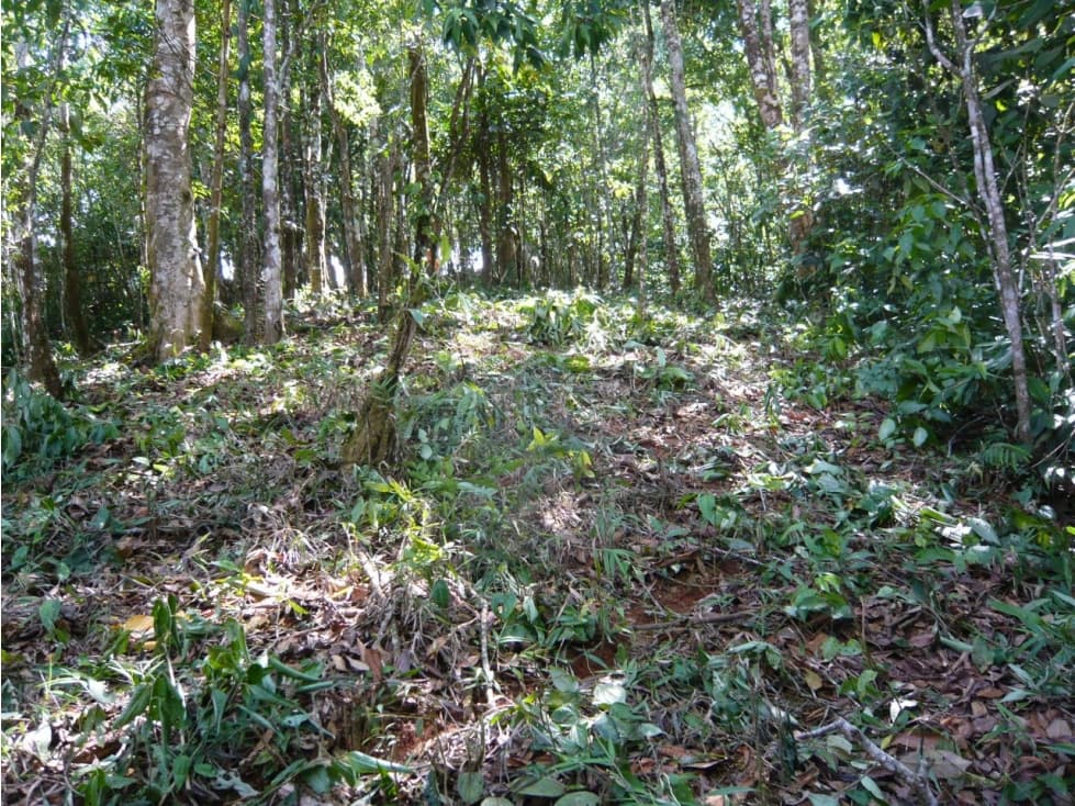 VENTA TERRENO CERRO AZUL — foto 5