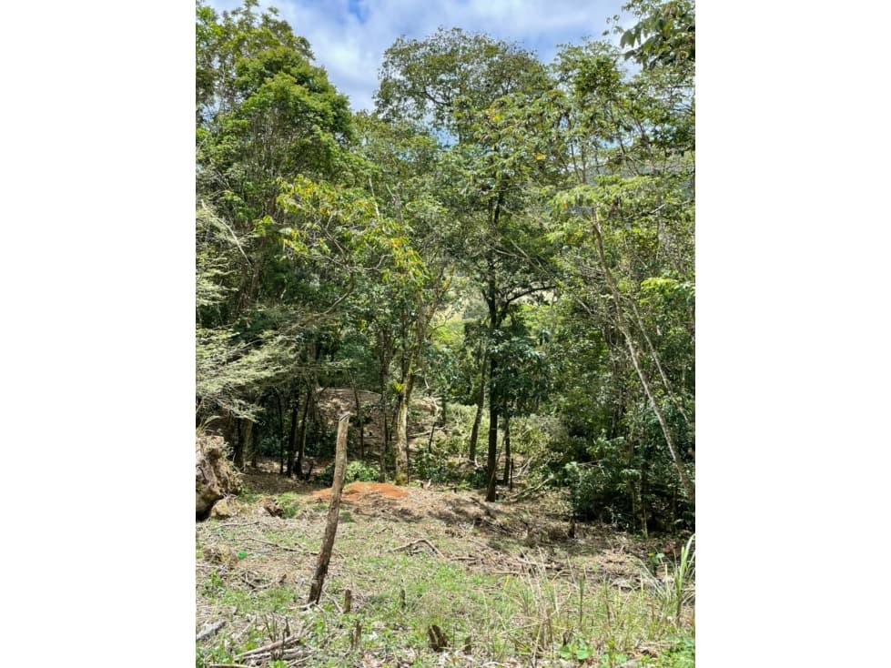 VENTA TERRENO ALTOS DE MARIA — foto 5