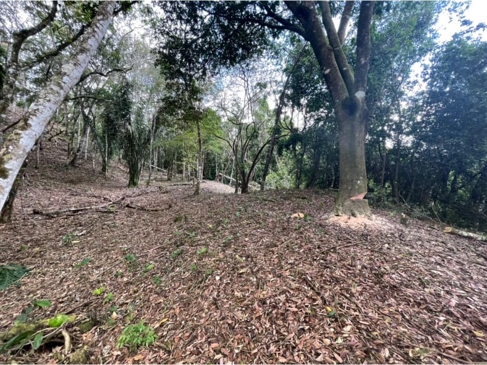 VENTA TERRENO ALTOS DE MARIA — foto 6